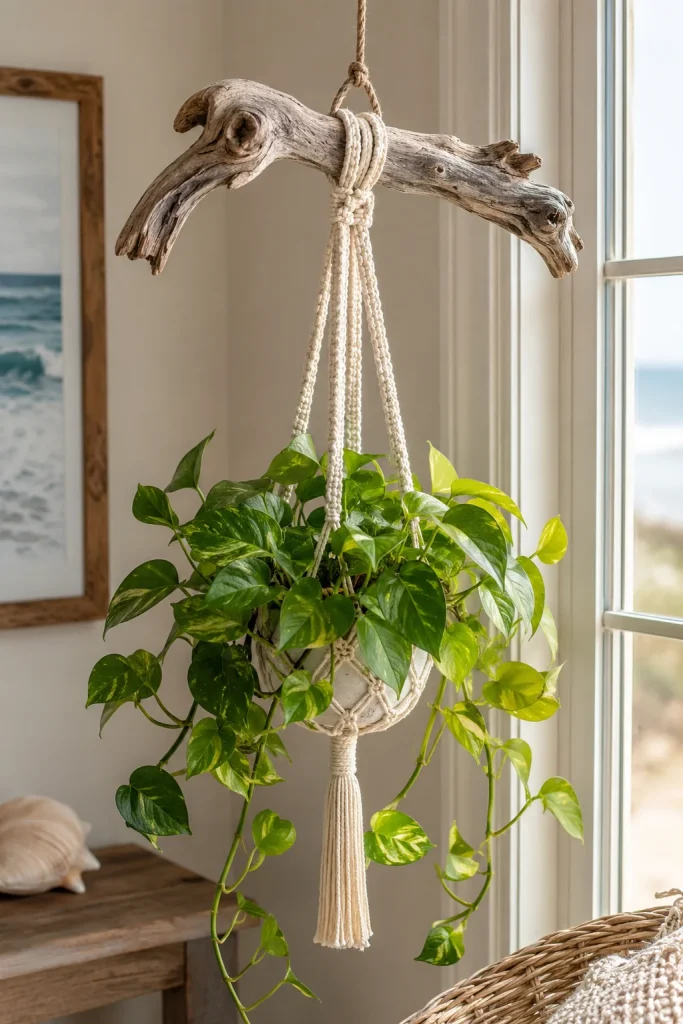 31 Creative DIY Garden Decor Ideas for Indoor & Outdoor Spaces 15 DIY Driftwood Plant Hangers